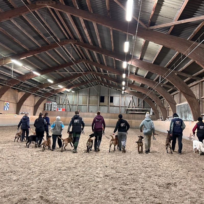 Winter Hundetraining in der Halle