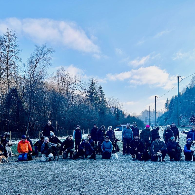 Hundetraining Aathal