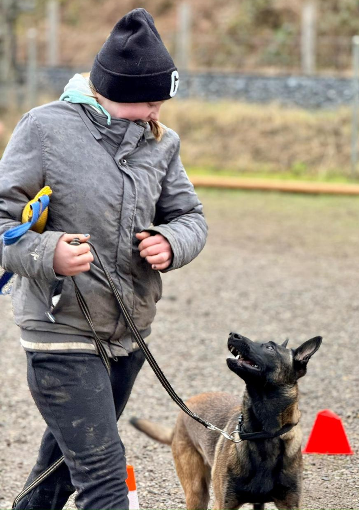 Junghunde- und Erziehungskurs