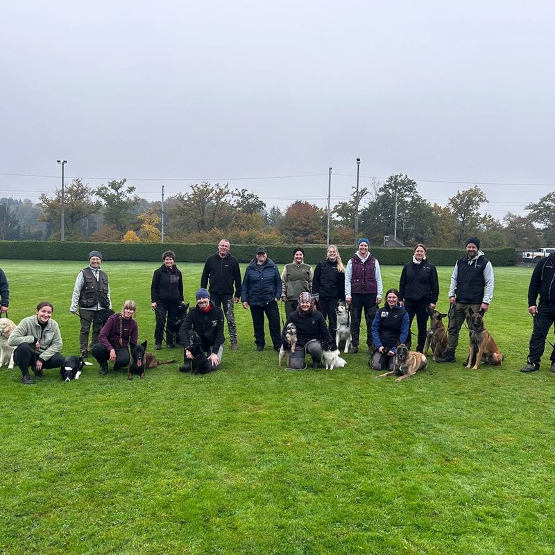 Hundetraining Rothrist