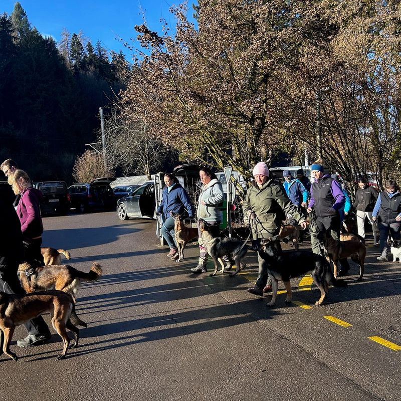 Hundetraining Aathal