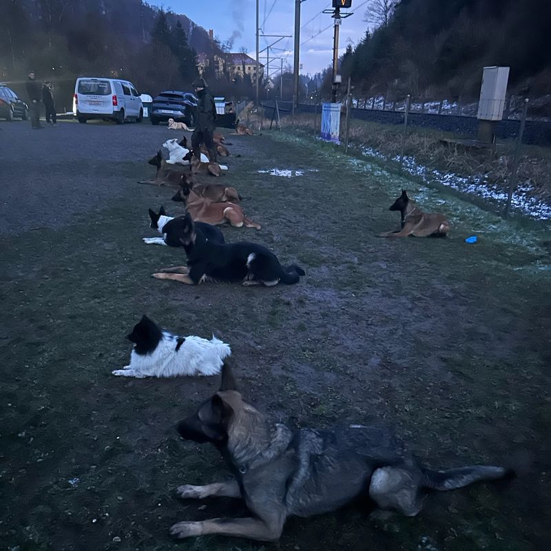 Hundetraining Aathal