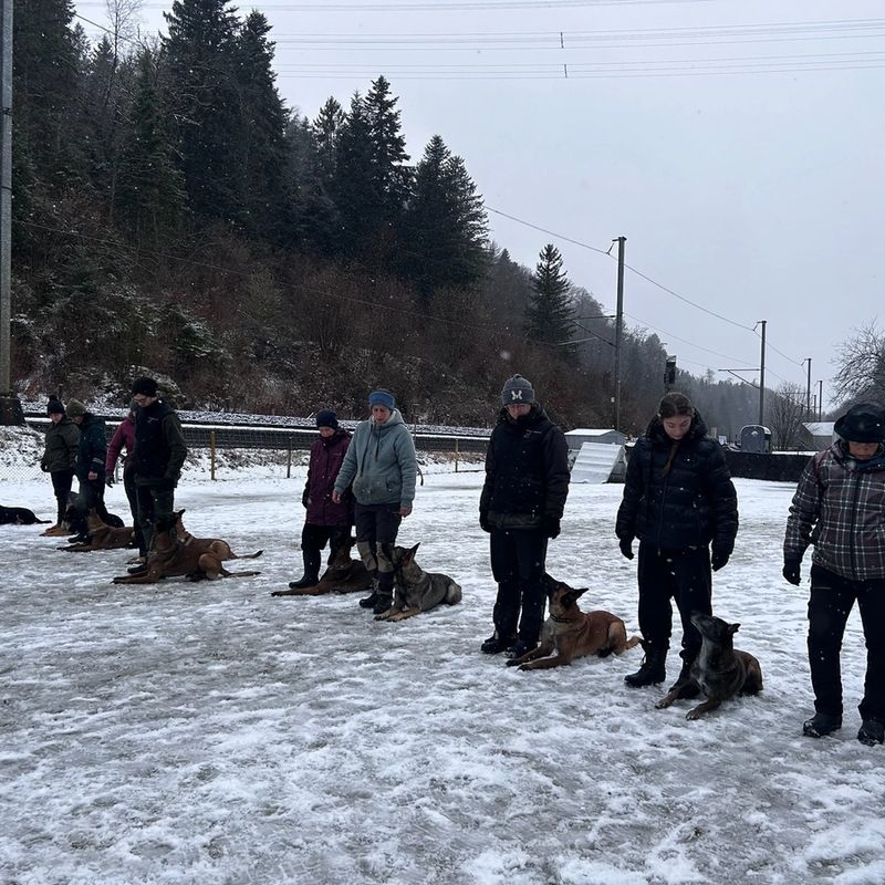 Training Hundeplatz