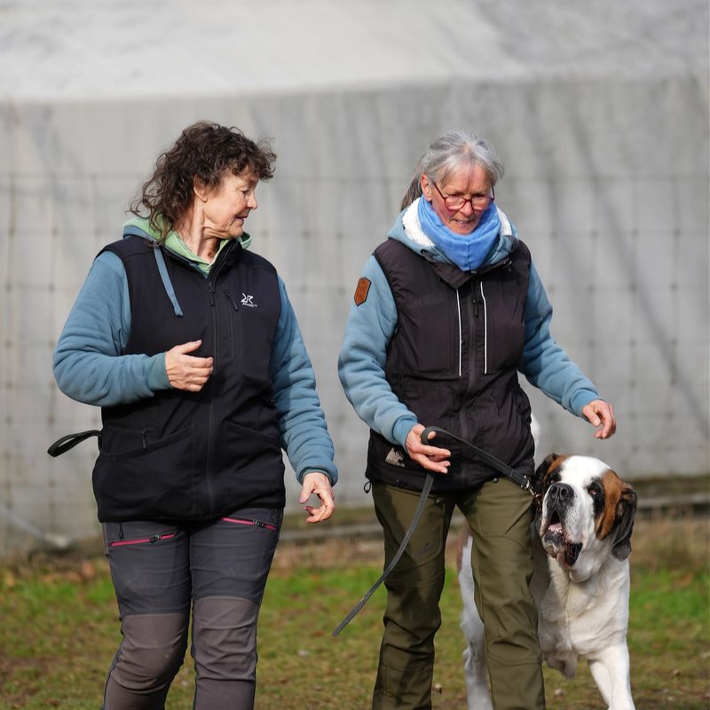 Hundetraining Samstag