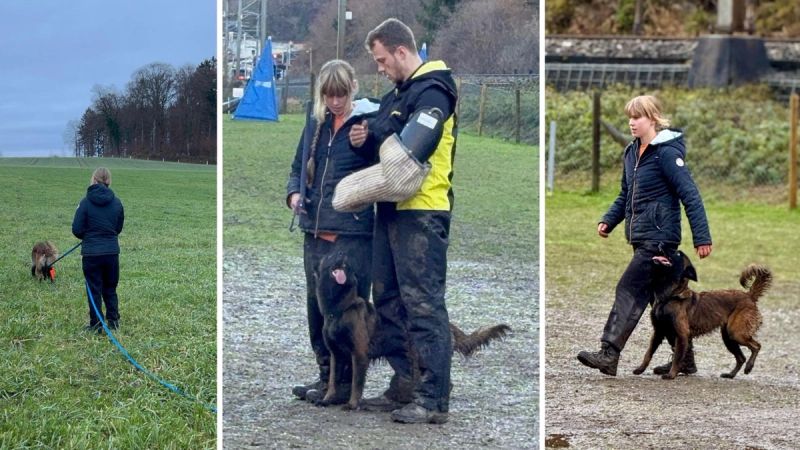 Hundesportprüfung 29. November 2025, HSV ABRI