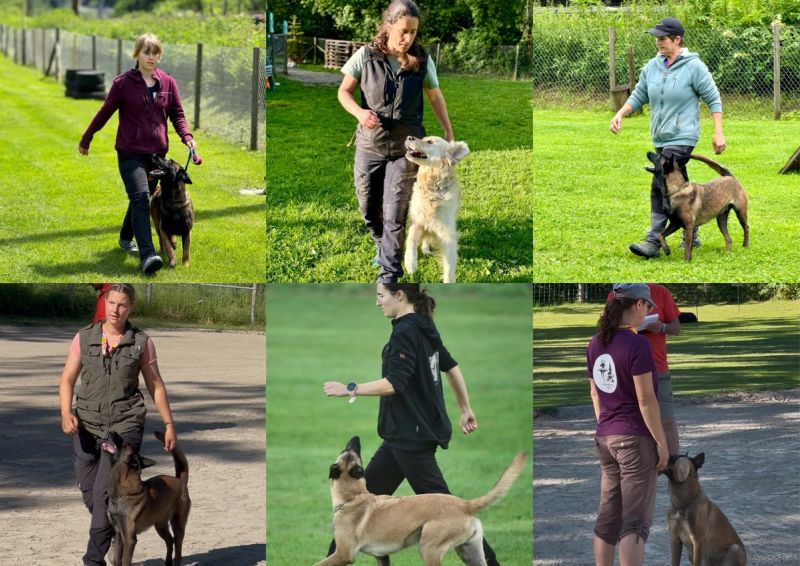 Qualifikation Schweizermeisterschaft