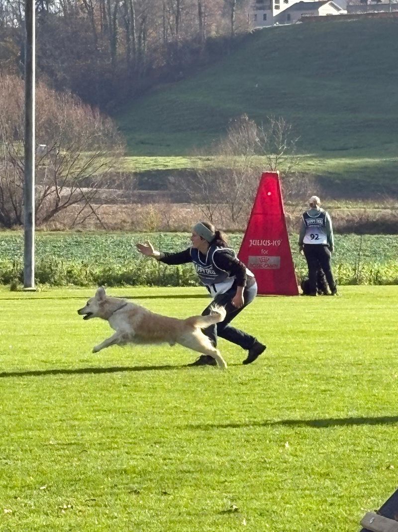 Schweizermeisterschaft 2025