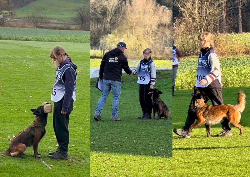 Schweizermeisterschaft 2025