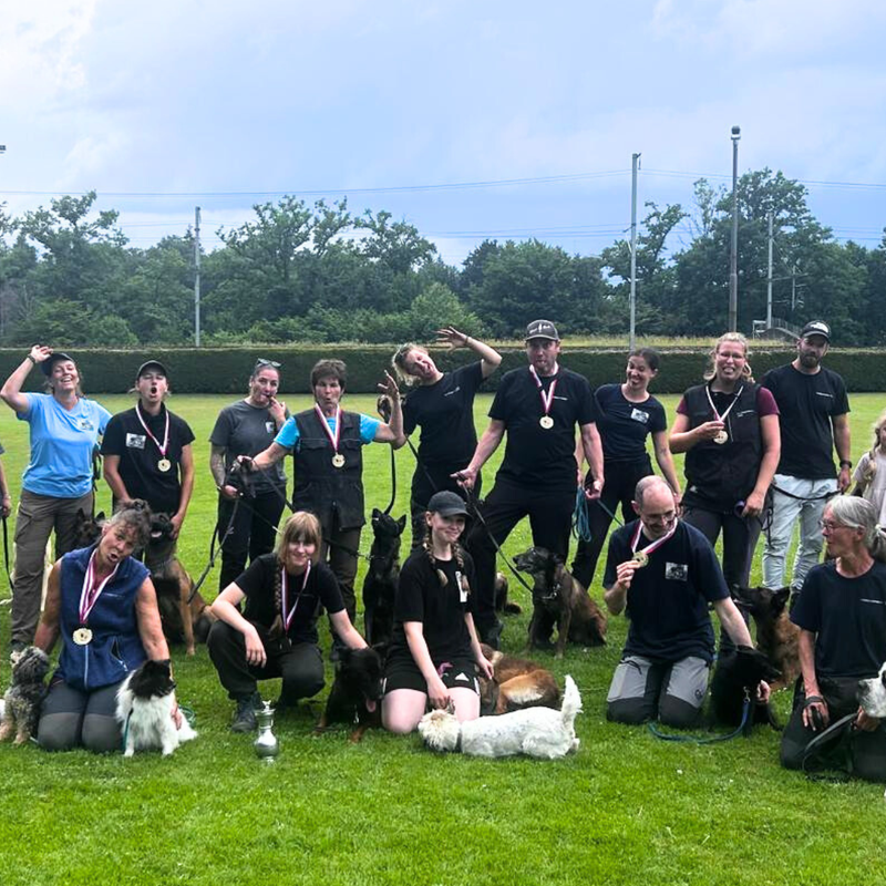 Hundeprüfung Rothrist