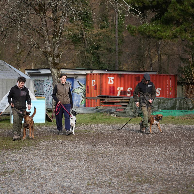 Gruppentraining Samstag