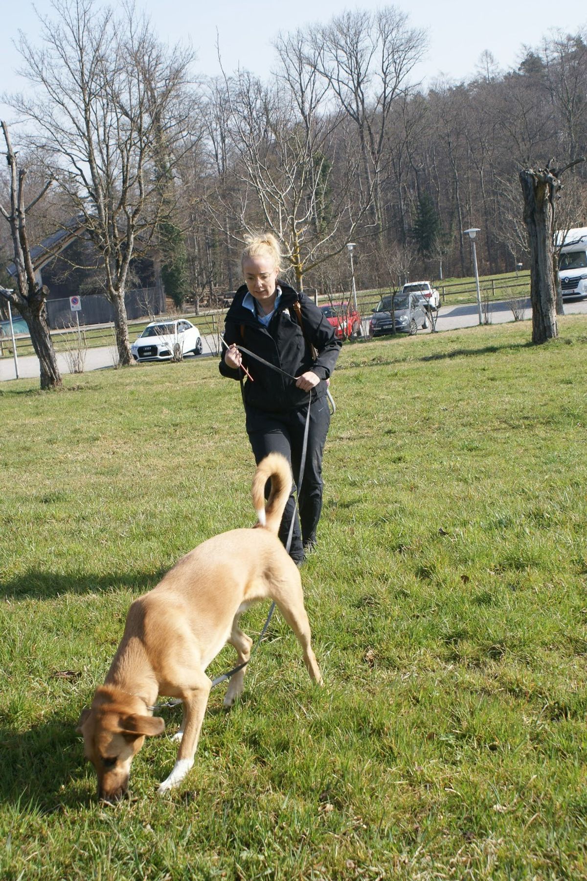 Fährtenkurs mit den Co-Trainerinnen