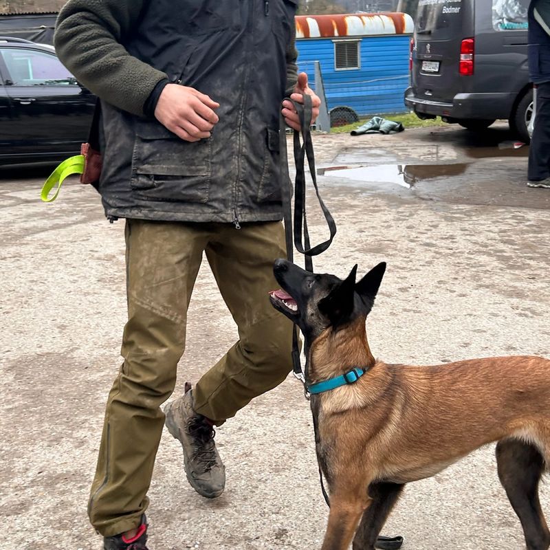 Hundetraining Aahtal