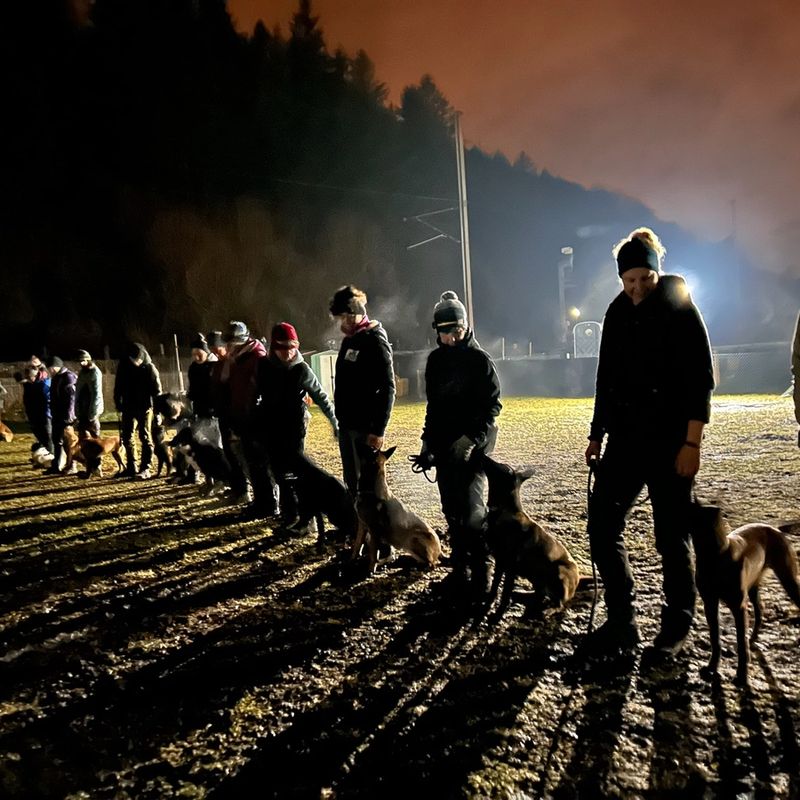 Hundetraining Aathal