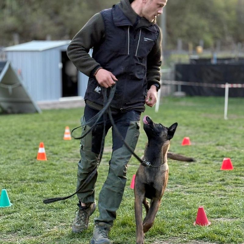 Hundetraining Aathal