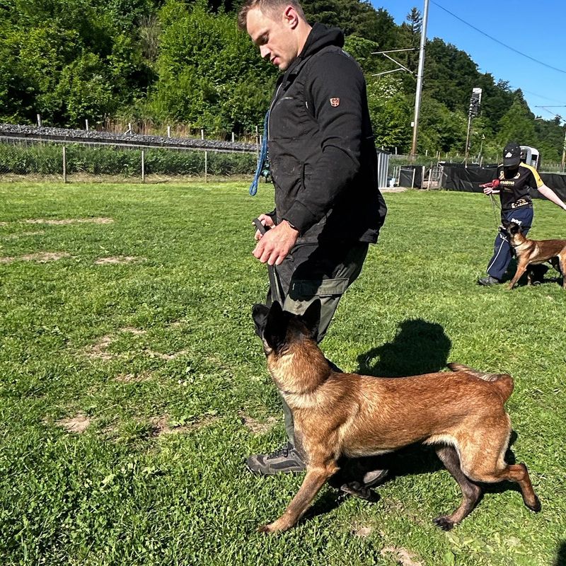 Hundetraining Aathal