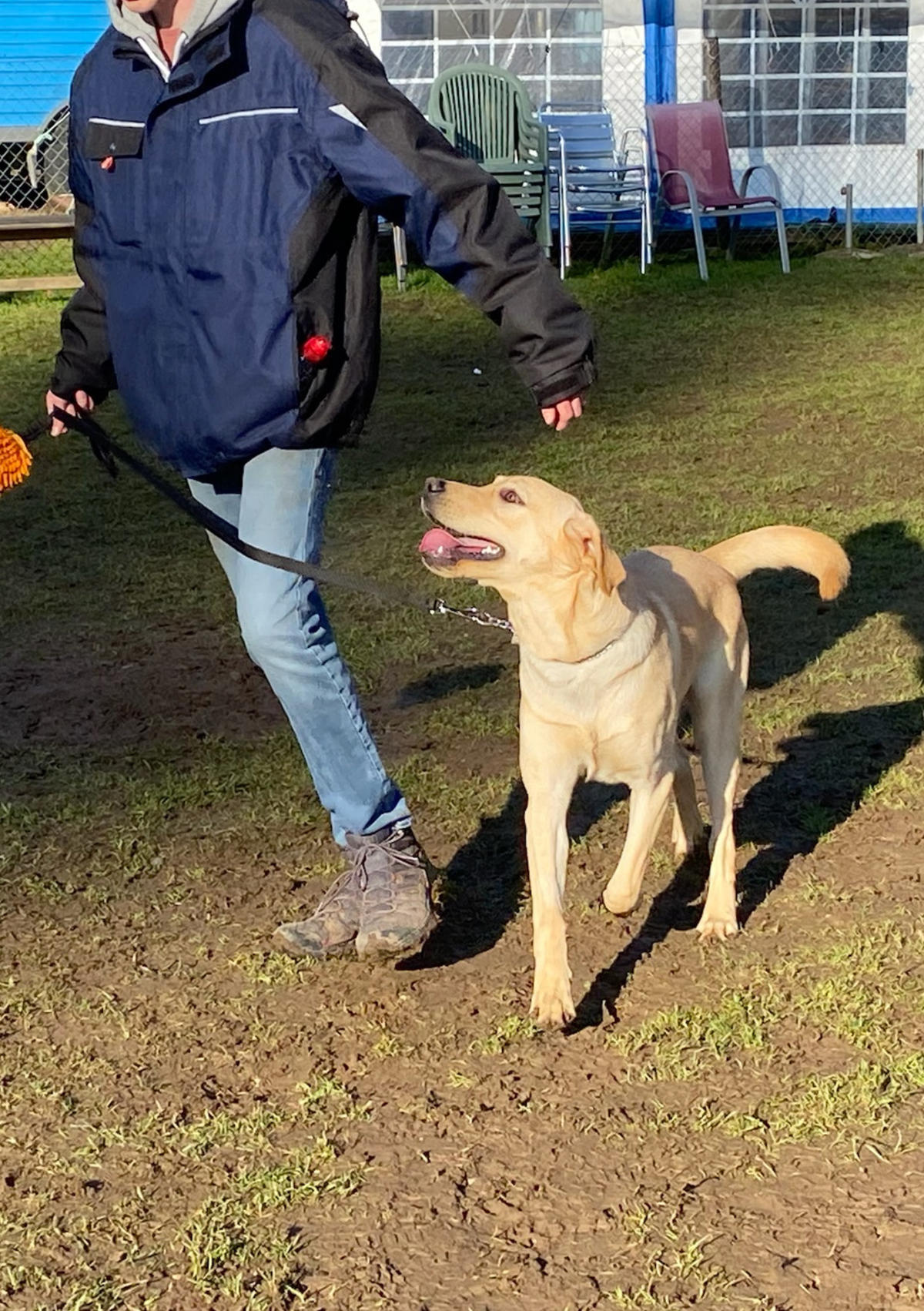 Praxiskurs - obligatorisch 01.06.25