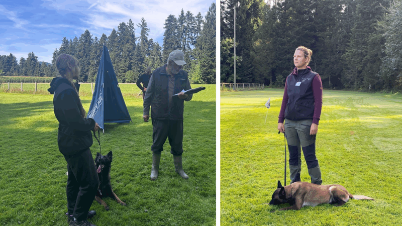 Hundesportprüfung 6. September 2025, KVO Langnau