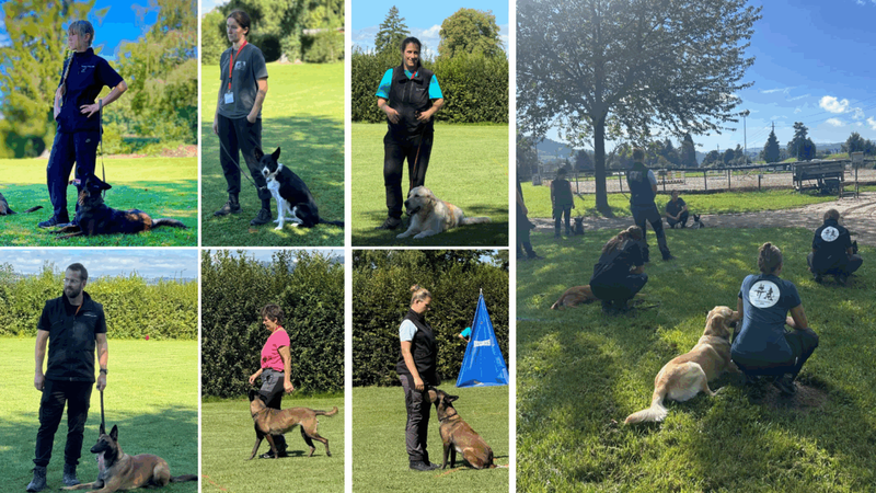 Hundesportprüfung 31. August 2025, SC OG Klingnau