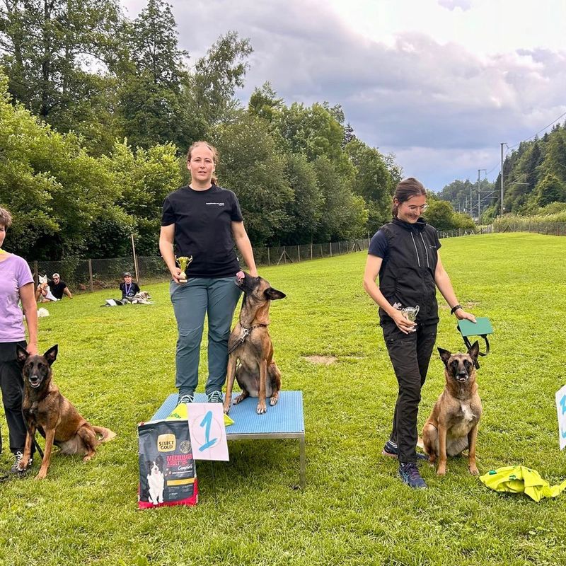 HundesportvereinABRI Prüfung Juni