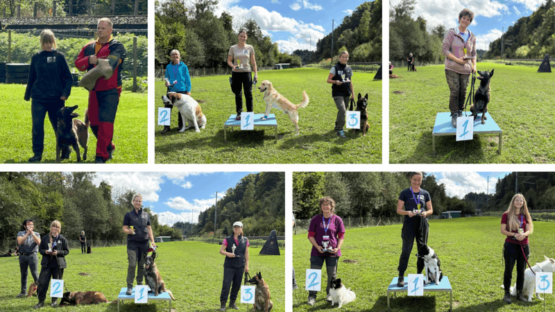 Hundesportprüfung 14. September 2025, HSV ABRI