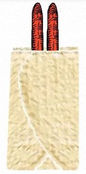 Hare Har-placering av korvar