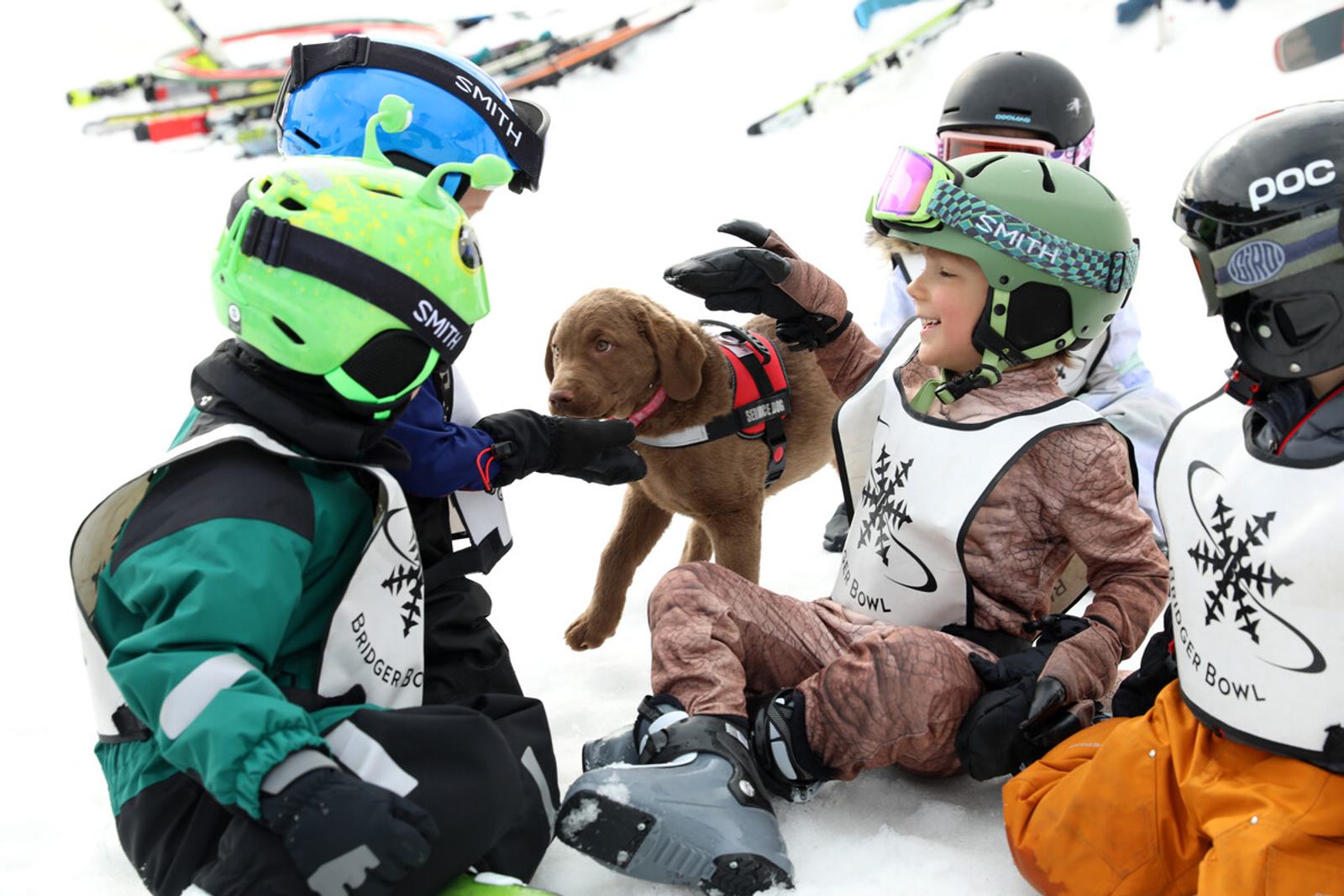 Ski school kids play with Roxy, an avalanche puppy in training.