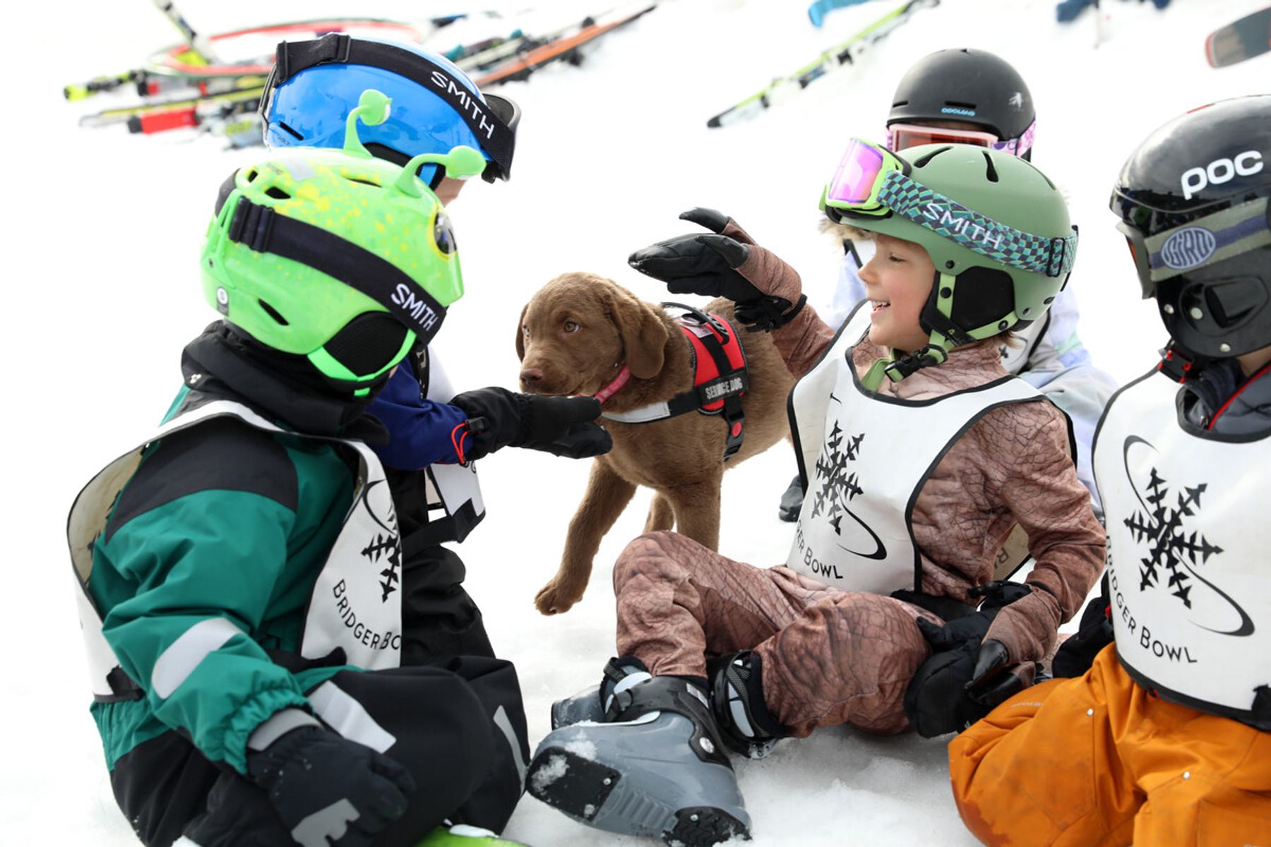 Ski school kids play with Roxy, an avalanche puppy in training.
