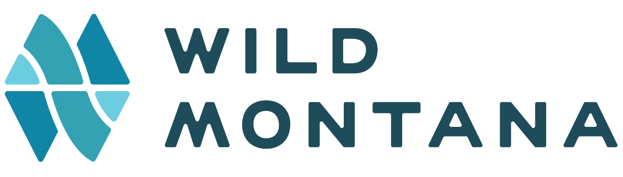Wild Montana