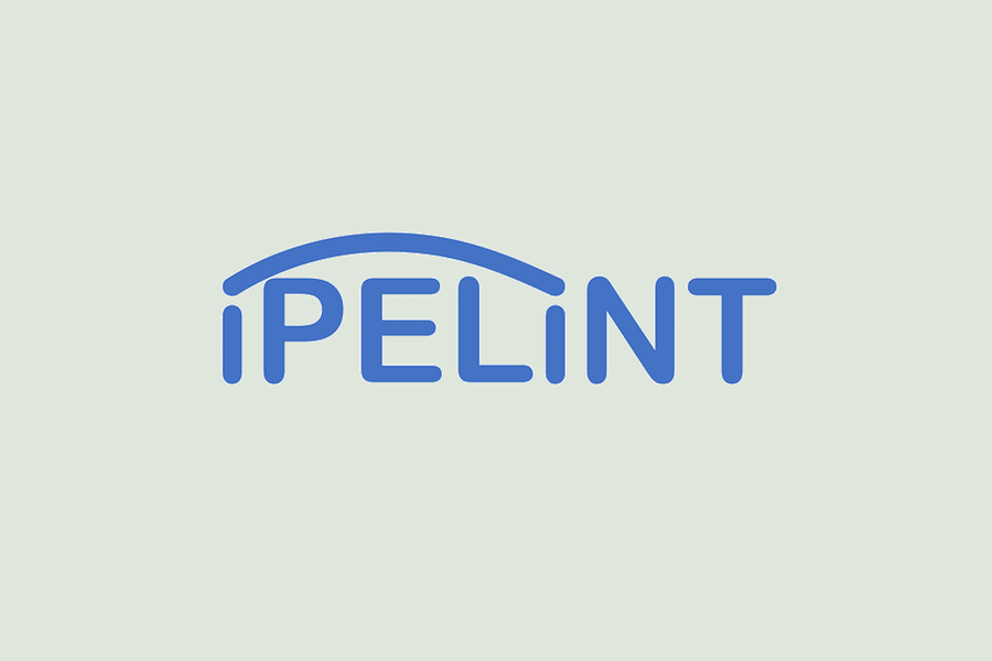 Ipelint project image