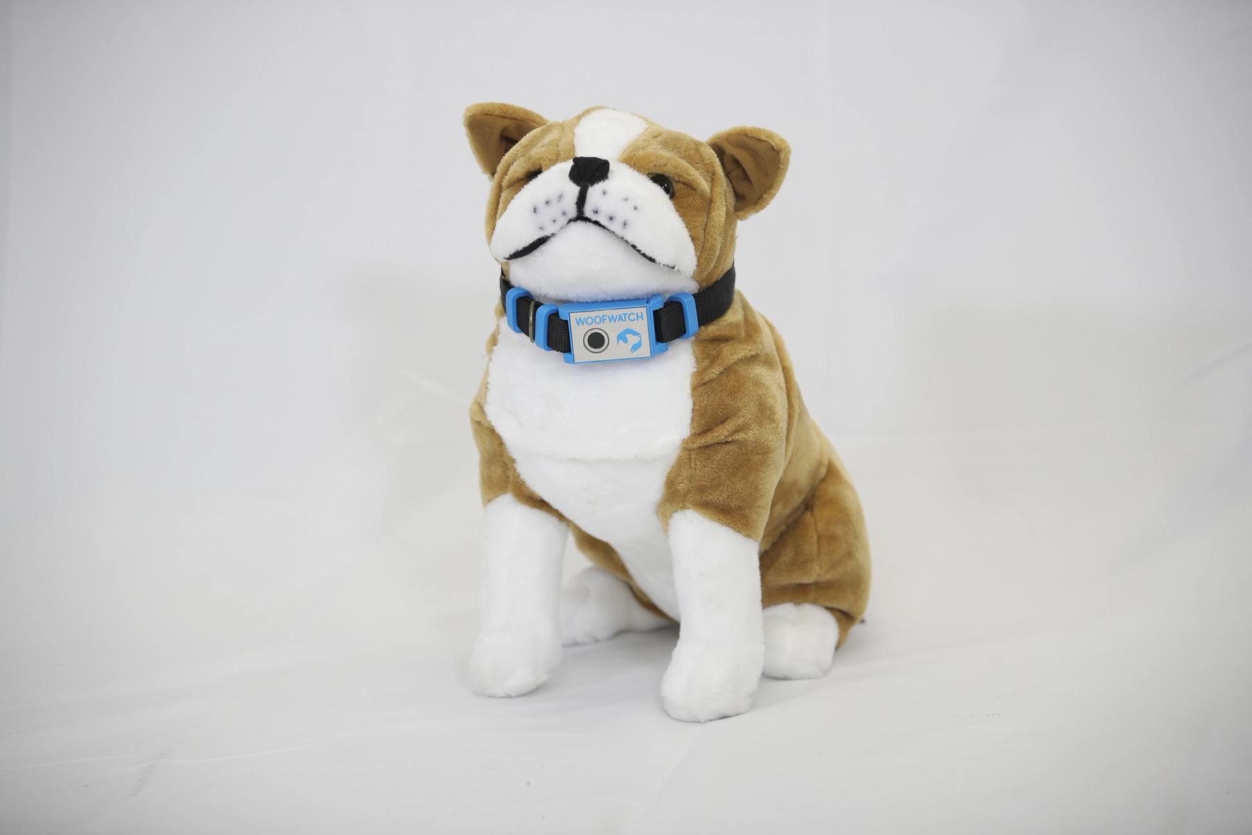 Incubator team photo