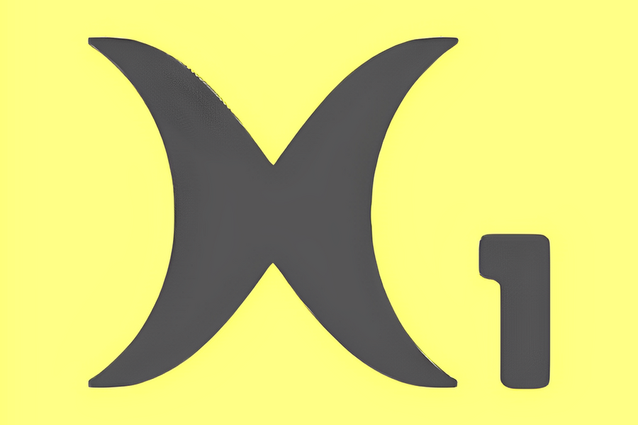 NeuroX1 project image