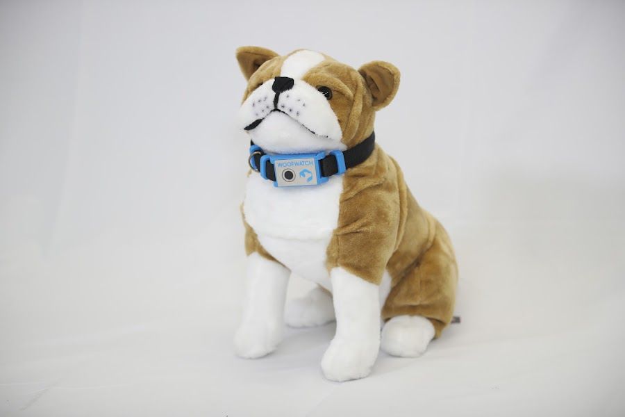 Woof Watch smart collar shown on a plush bulldog