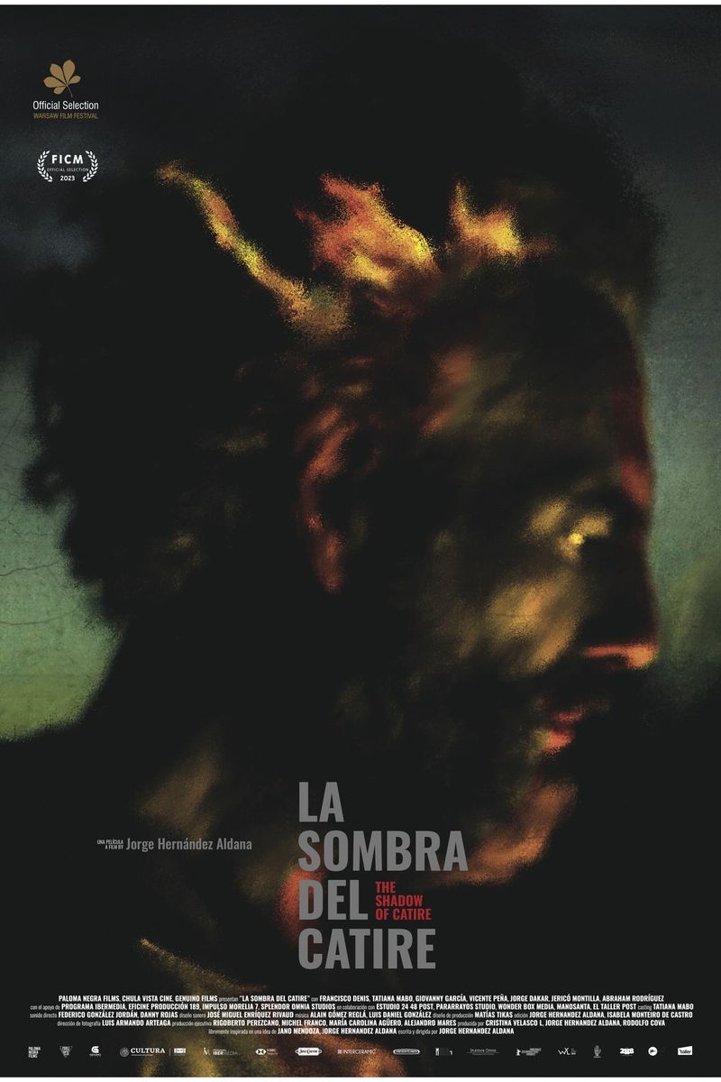 La sombra del Catire poster