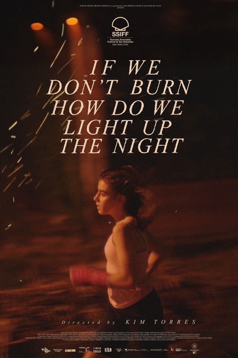 If We Don’t Burn, How Do We Light Up the Night poster