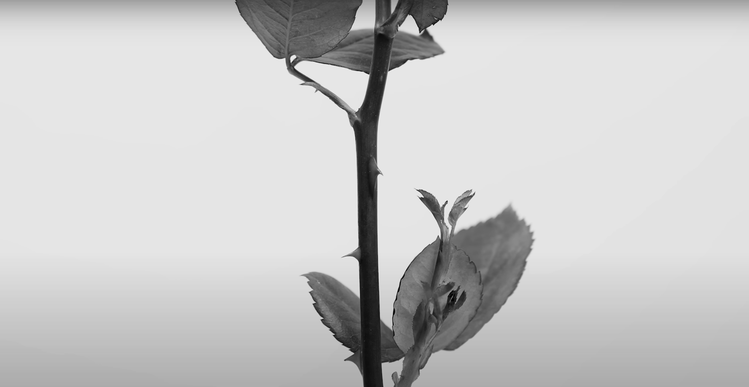 Scenografia realizzata per WarnerMusic da Veronica Molteni, Scenografa e Set Designer