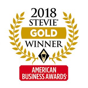 2018 Information Technology Team of Year