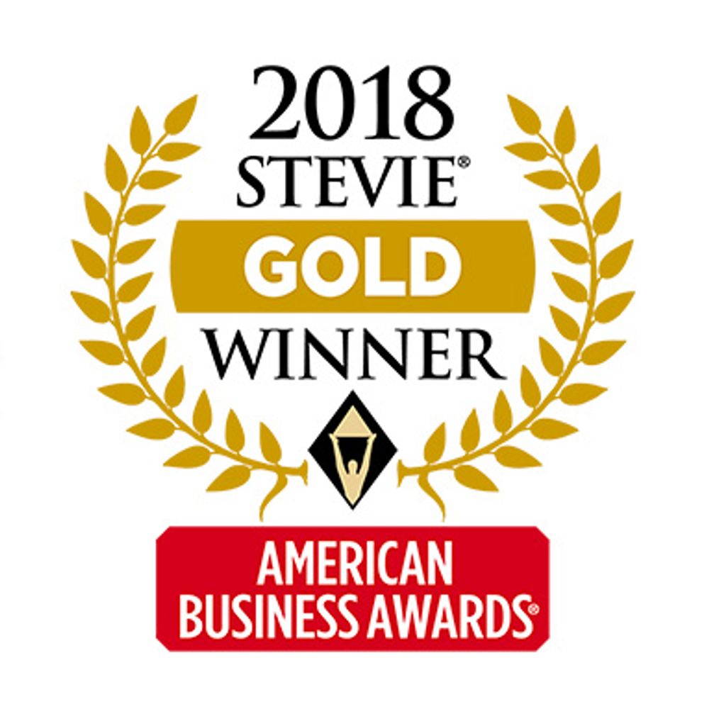 2018 Information Technology Team of Year