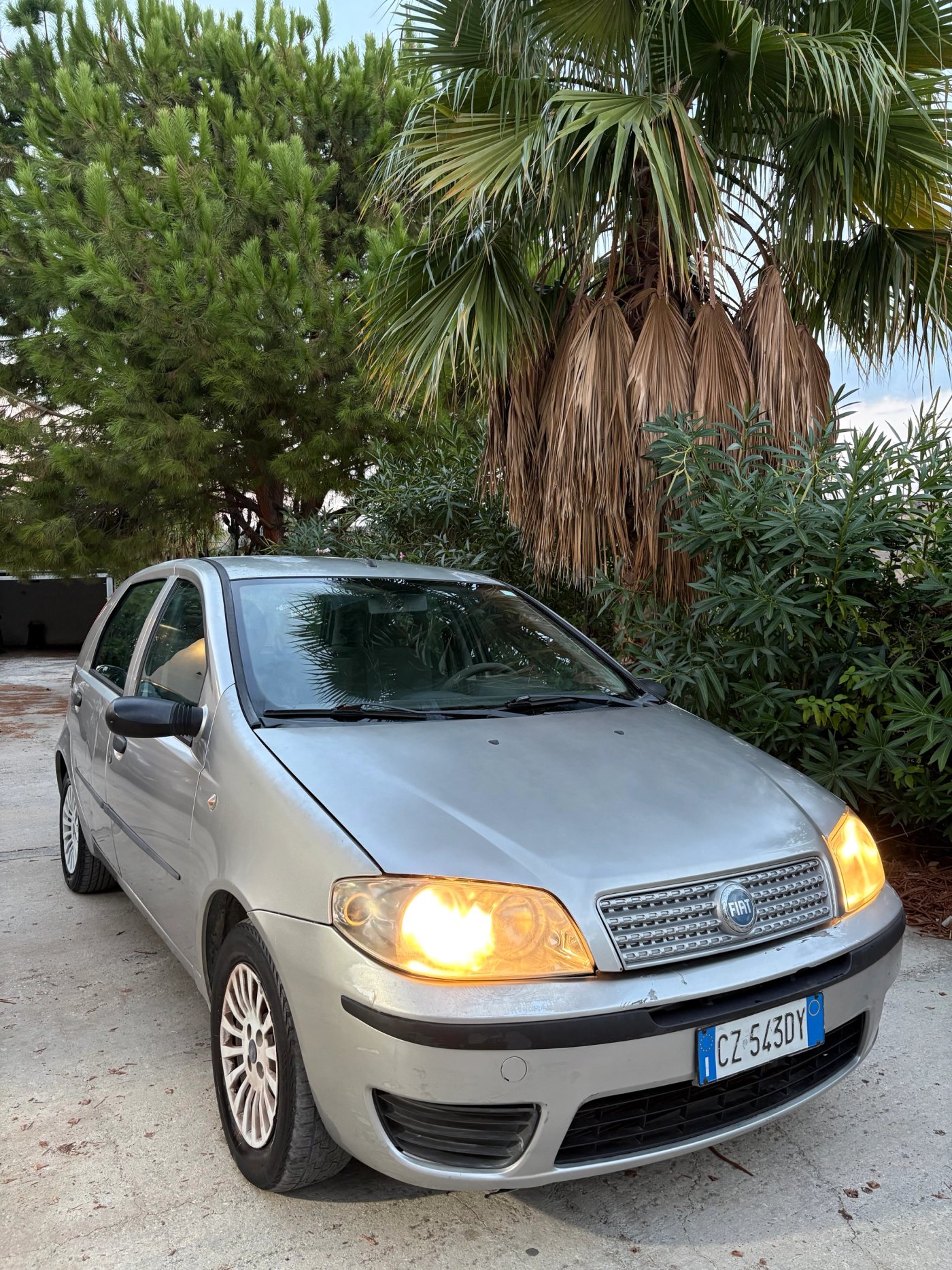 Fiat Punto