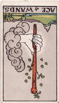 The Reversed Ace of Wands Tarot Card Meaning: The Complete Guide
