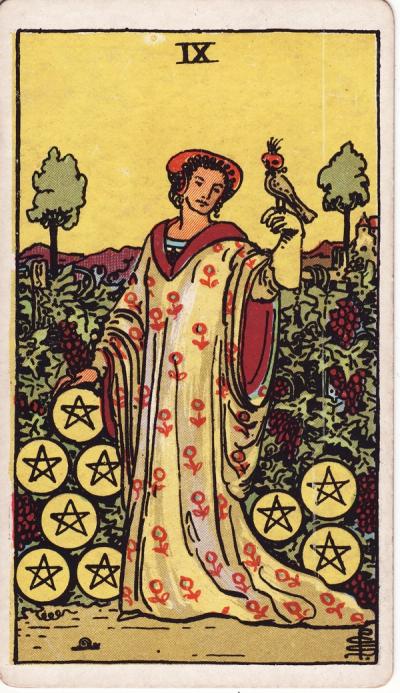 Nine of Pentacles Tarot Card Meanings - 9