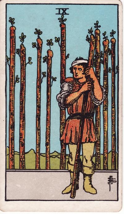 Nine of Wands Tarot Card Meanings - 9