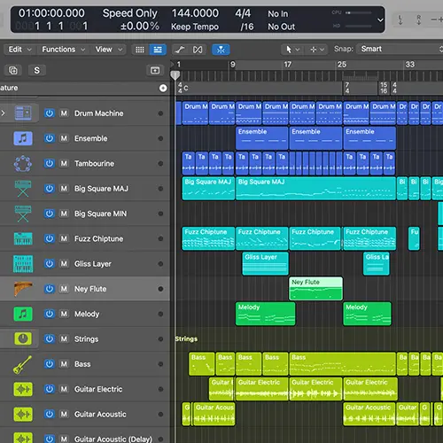 Music & Audio Design