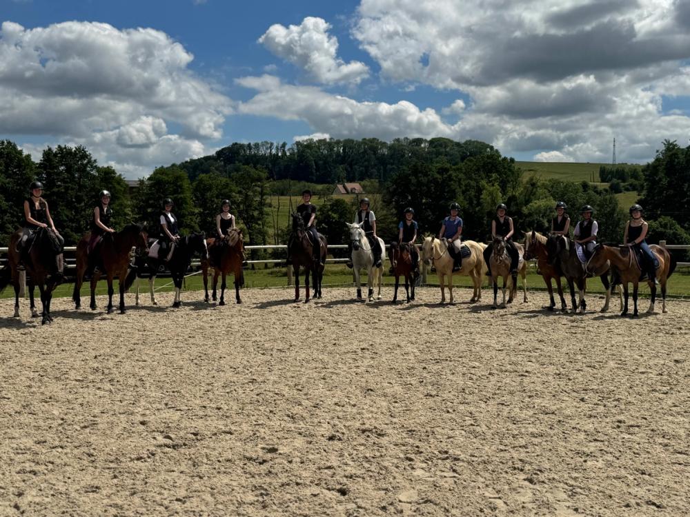 Cours poney et chevaux