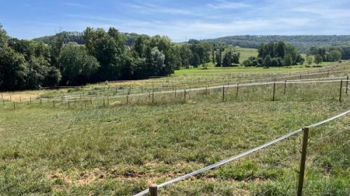 Les paddocks