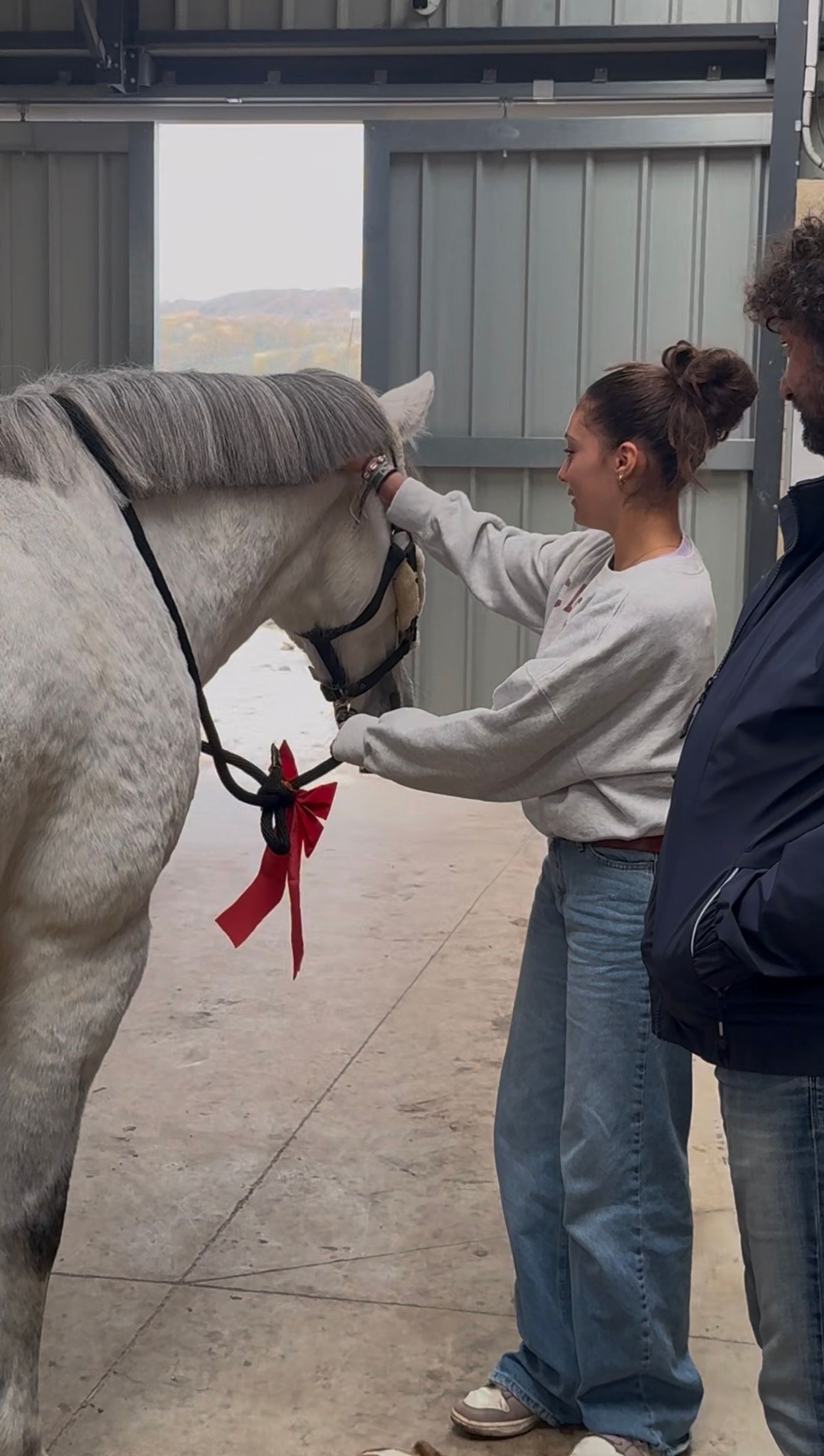 Mettre votre cheval en valeur pour sa vente