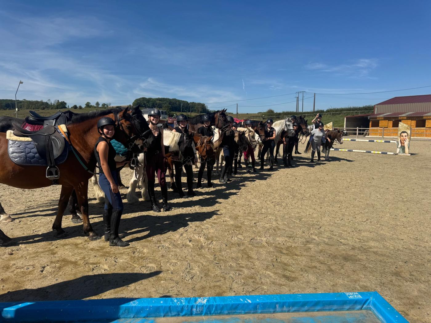 Des stages pour vivre davantage de temps avec les chevaux