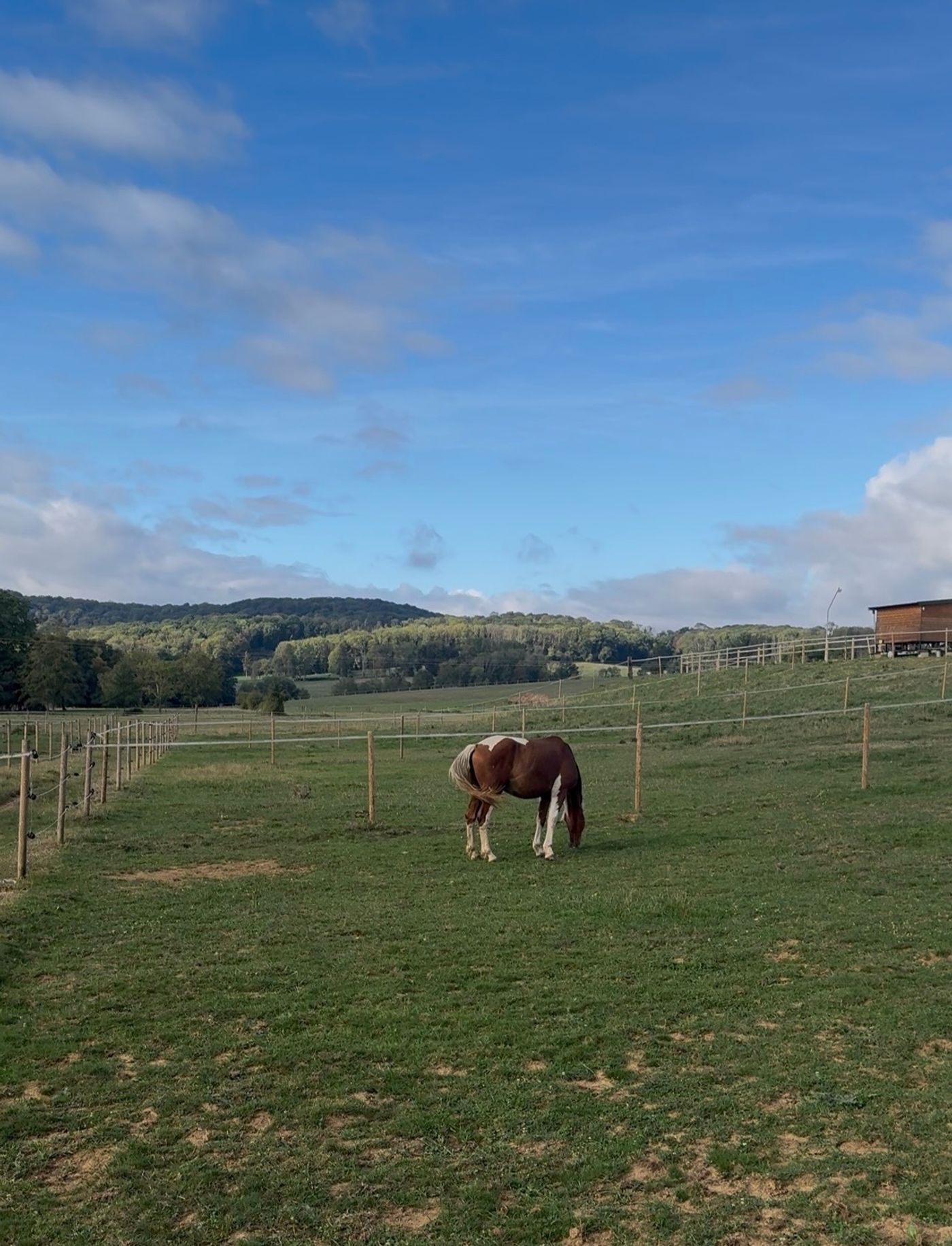 Paddocks