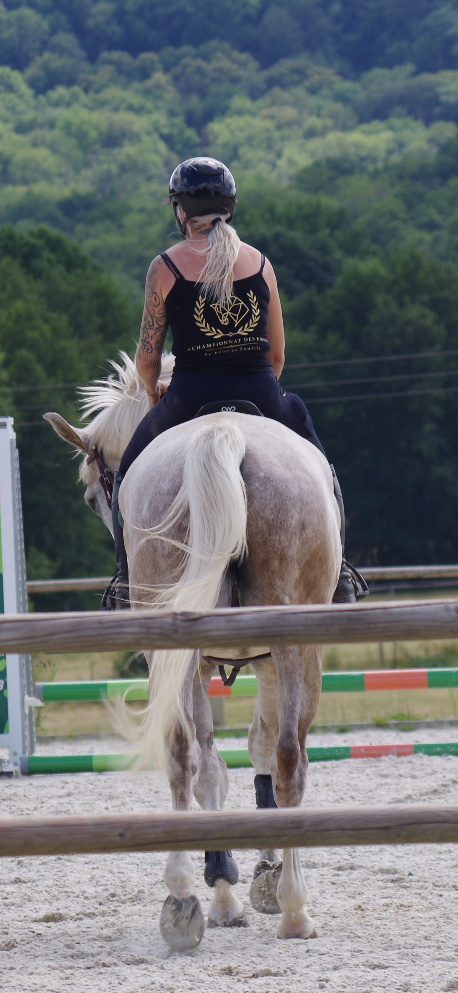 Travail des chevaux aux ecuries