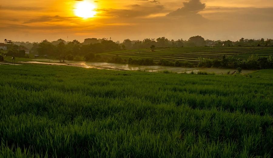 Bali Sunset