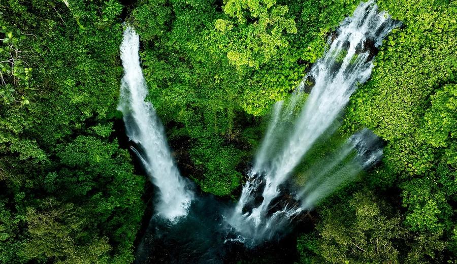 Discover Ubud Nature